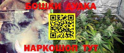 индика Беслан