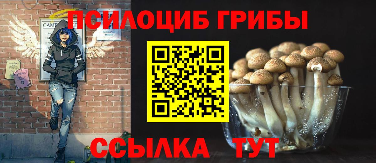 Галлюциногенные грибы ЛСД  Вход с VPN  Киселёвск 