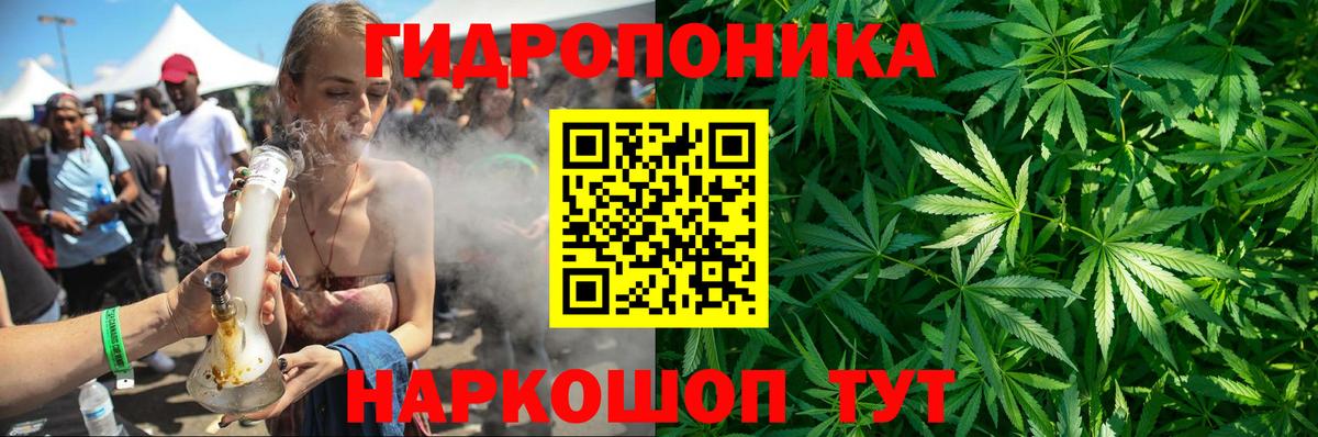 Каннабис гибрид Киселёвск